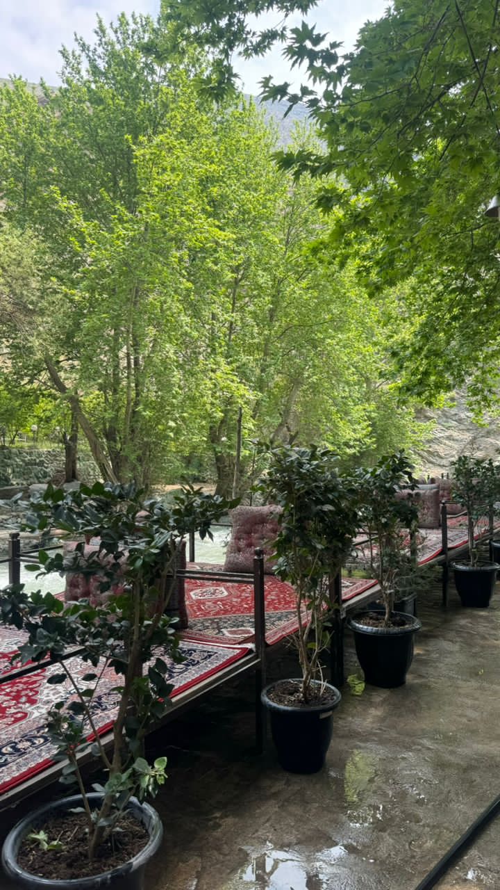 نکات کلیدی برای انتخاب رستوران ایدهآل